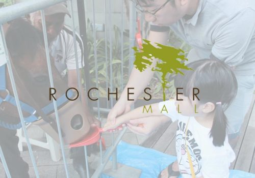 Rochester Mall – A Pony-tastic Carnival