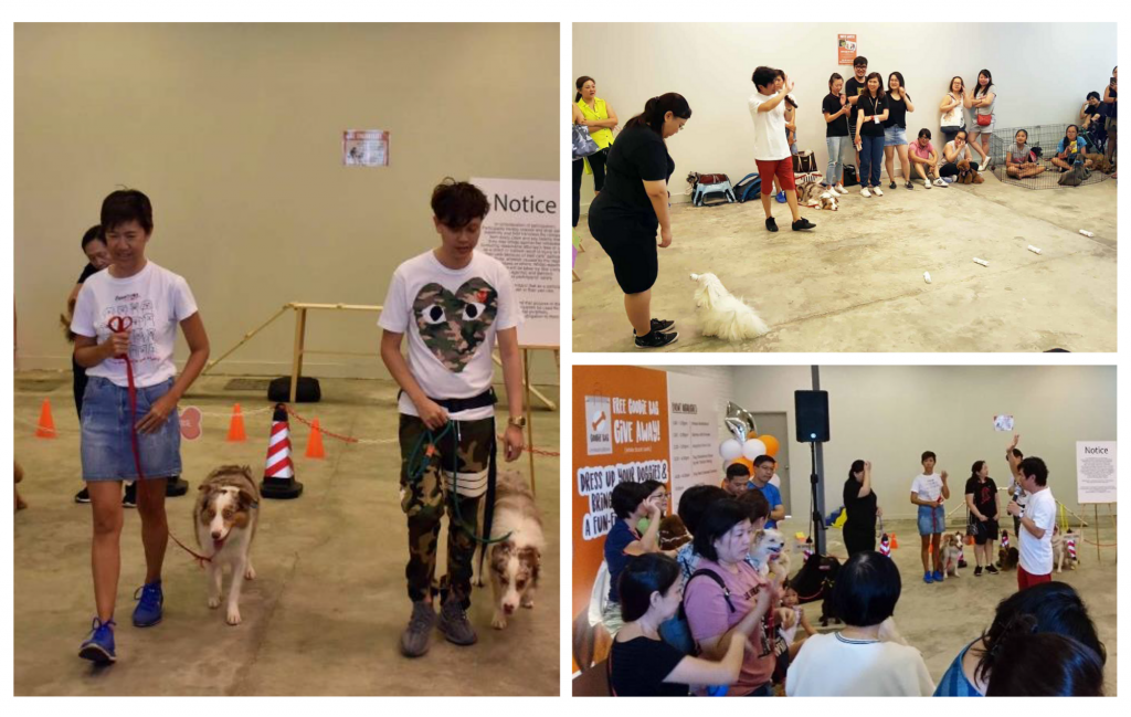 Dog Obedience Show