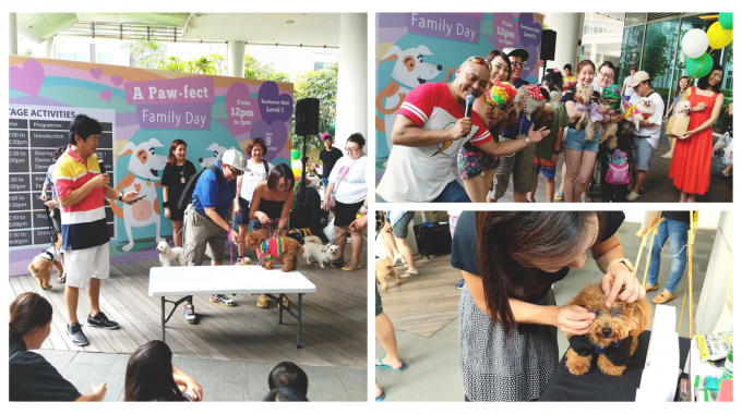 A Woofing Good Time With LolliBox’s Dog Events!